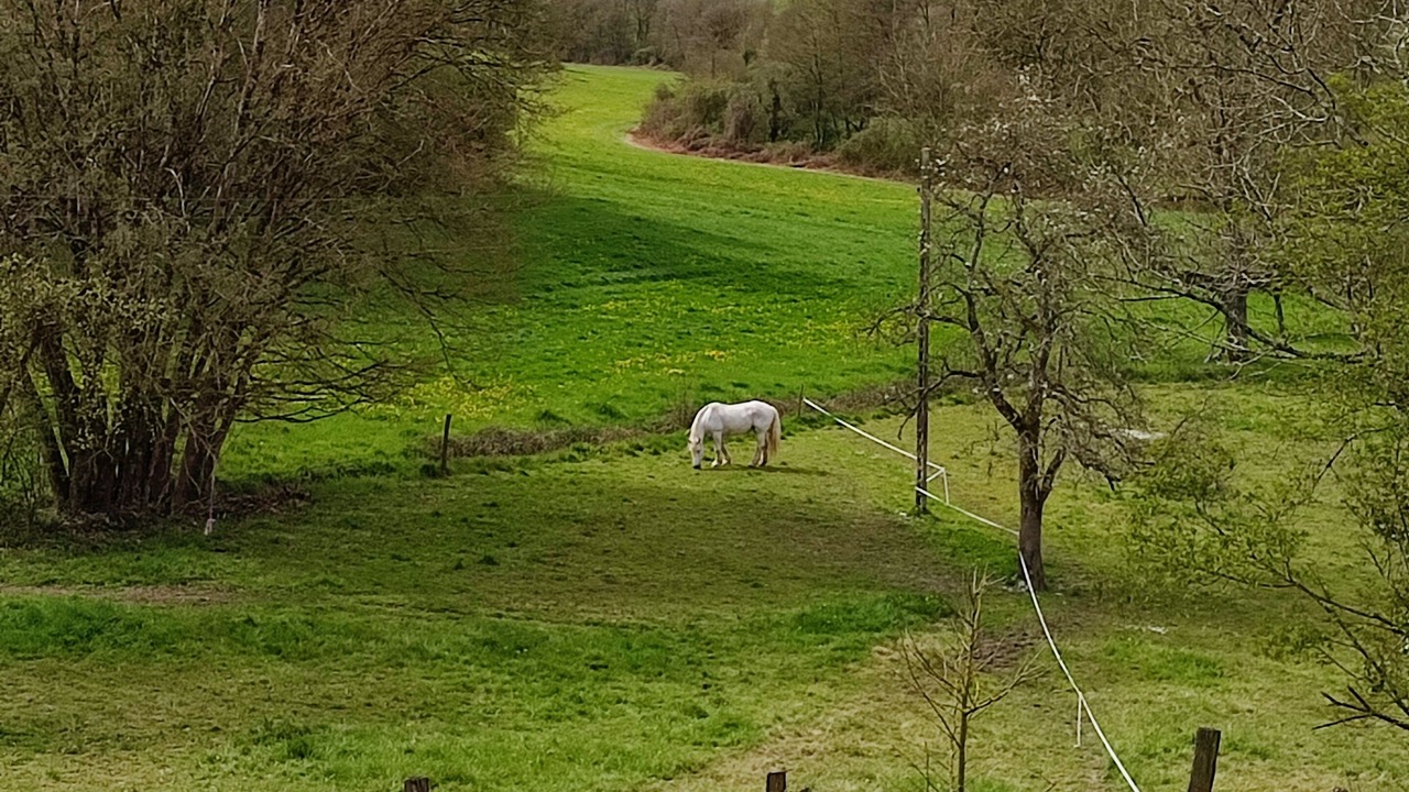 Photo of Others in Bossay-sur-Claise