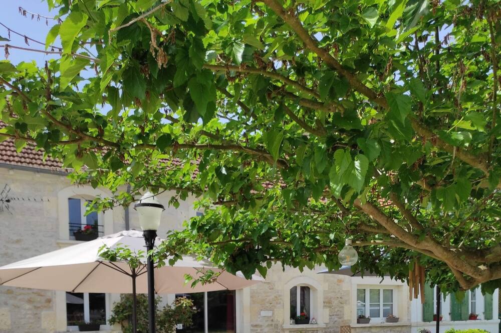 Photo of Outdoor in Brizambourg