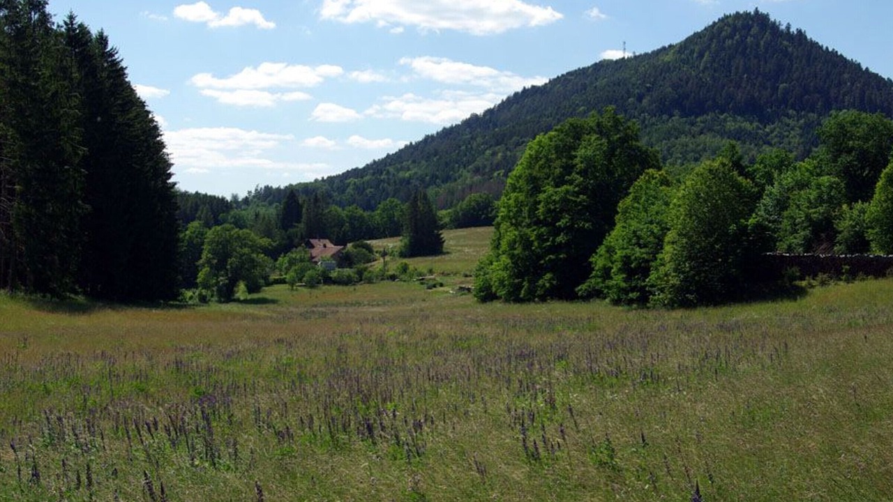 Photo of Outdoor in Le Saulcy