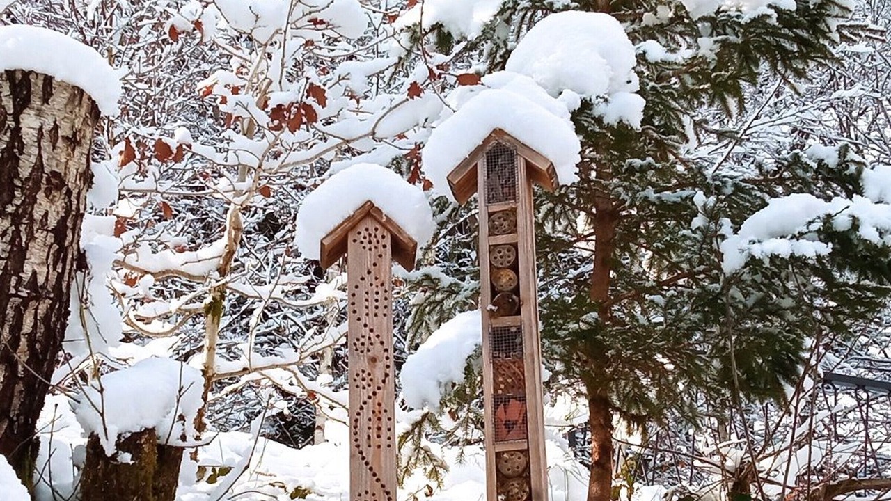 Photo of Outdoor in Le Saulcy