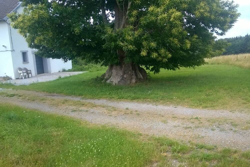 Photo of Outdoor in Blessac