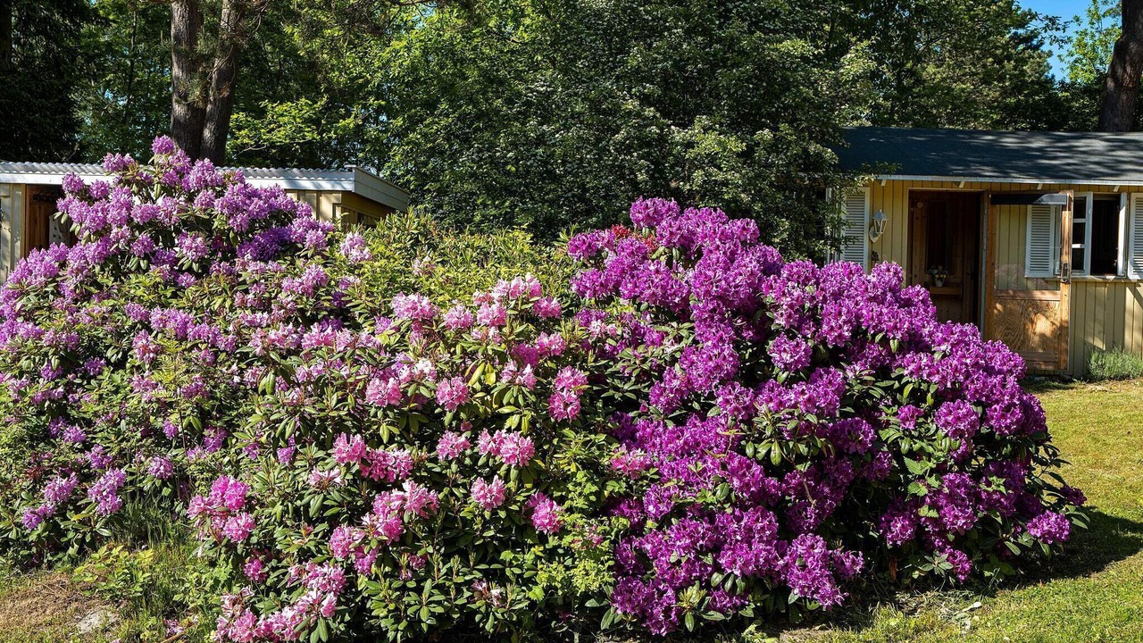 Photo of Outdoor in Rrvig