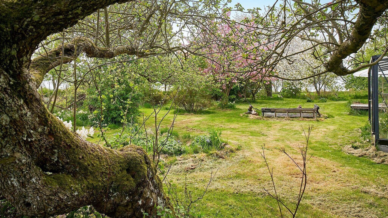 Photo of Outdoor in Østermarie