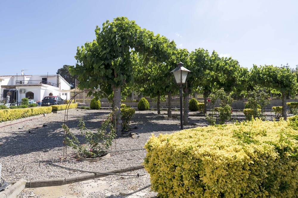 Photo of Outdoor in Tordera