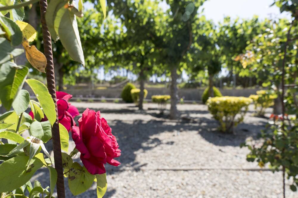 Photo of Outdoor in Tordera