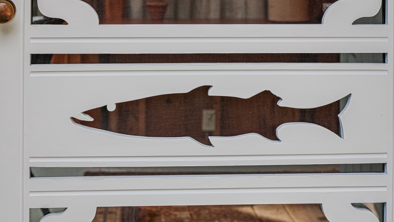 Photo of Outdoor in Orland