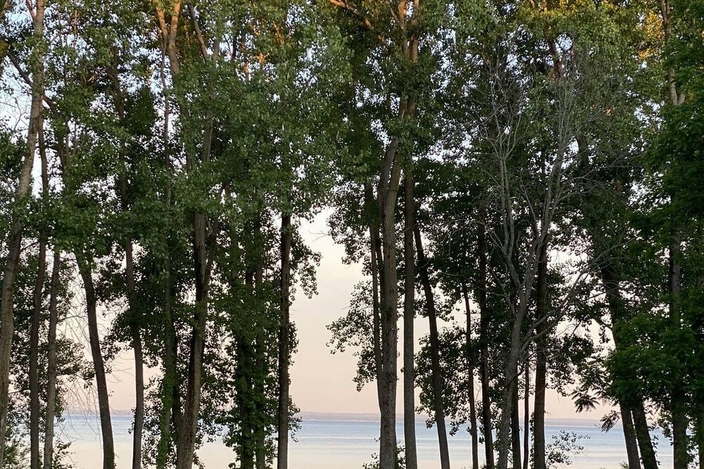 Photo of Outdoor in Fort Erie