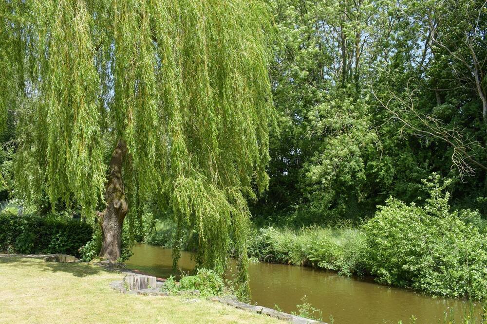 Photo of Outdoor in Chirk Bank