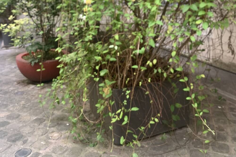 Photo of Outdoor in Vitry-sur-Seine