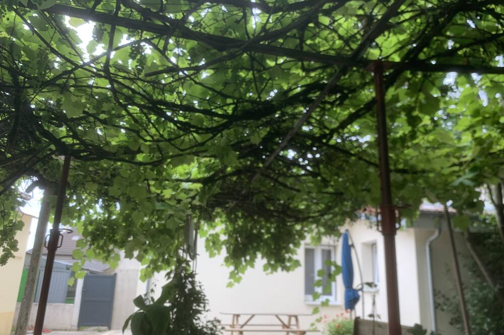 Photo of Outdoor in Vitry-sur-Seine