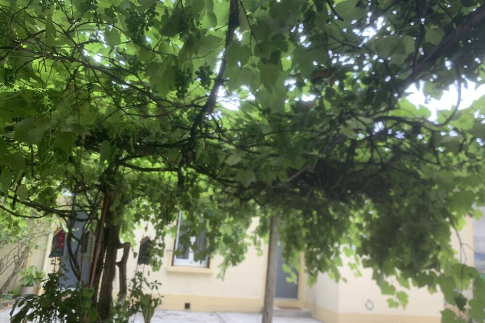 Photo of Outdoor in Vitry-sur-Seine