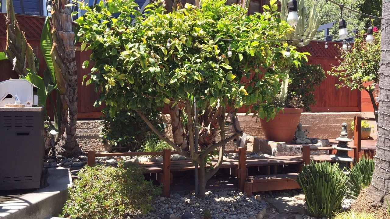 Photo of Outdoor in Dogpatch