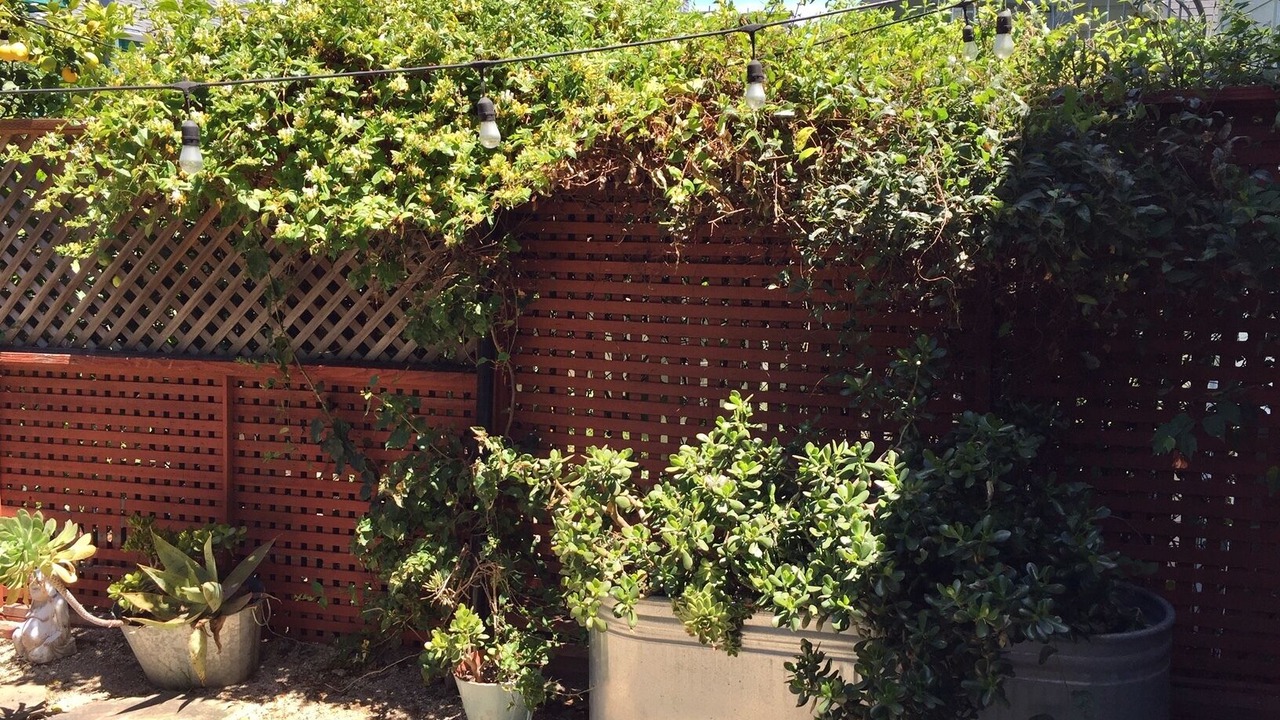 Photo of Outdoor in Dogpatch