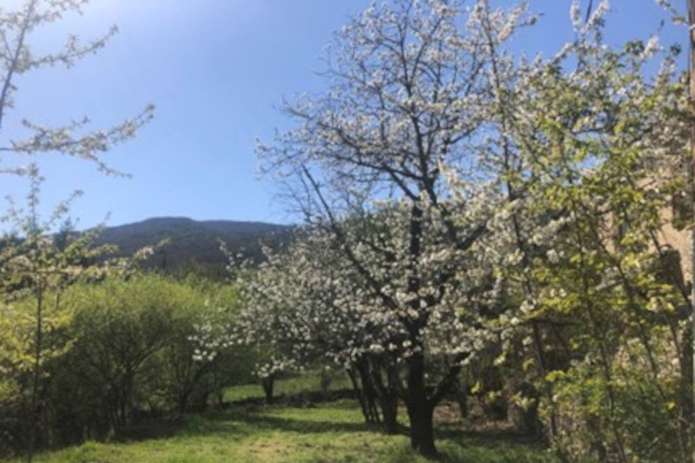Photo of Outdoor in Cros