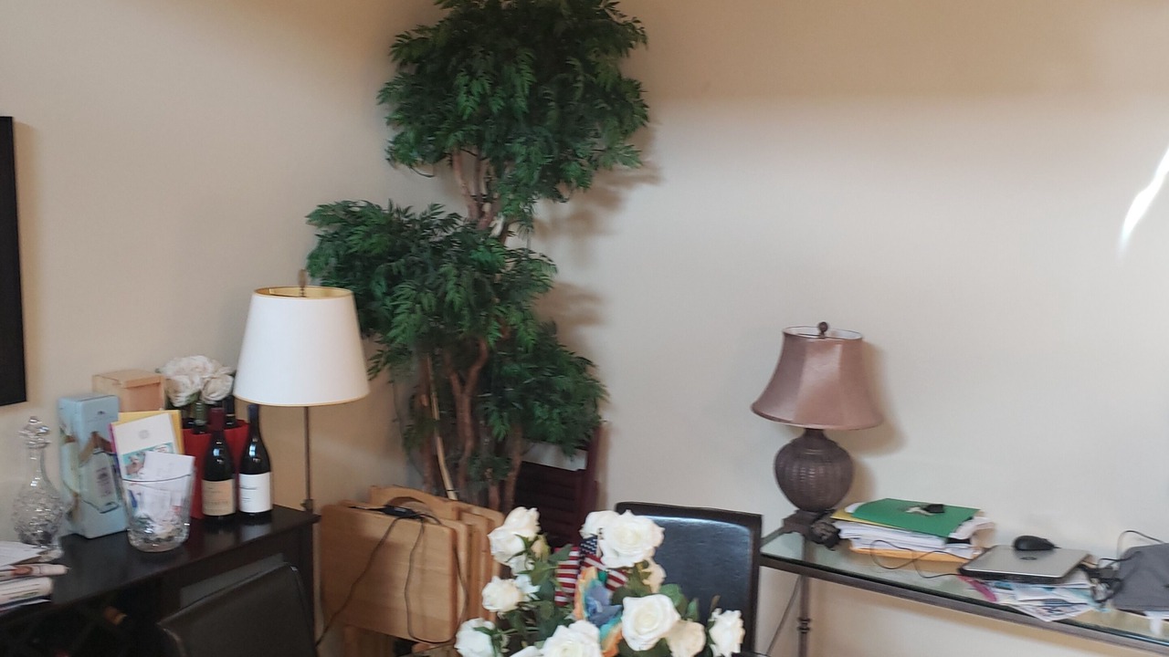 Photo of Others in Avon by the Sea