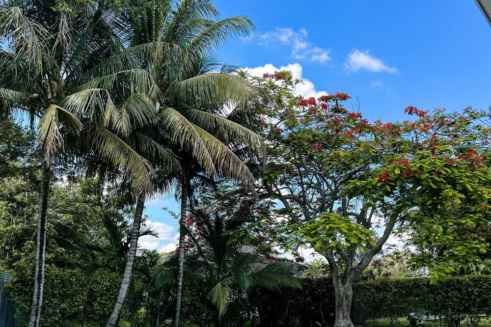 Photo of Outdoor in Palmetto Bay