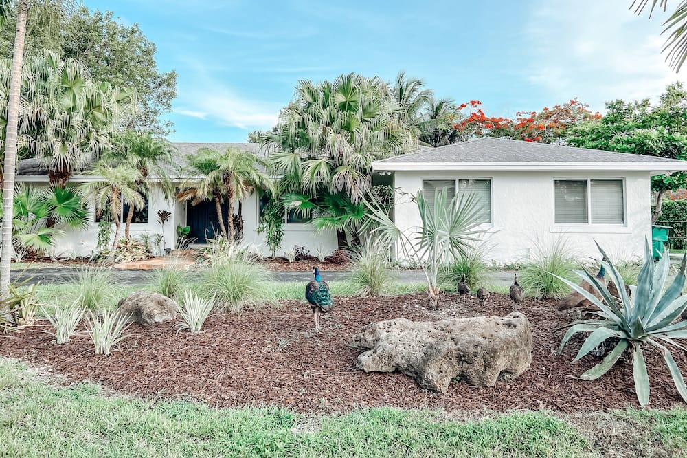 Photo of Outdoor in Palmetto Bay