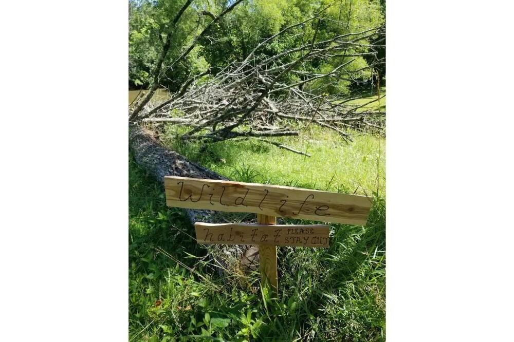 Photo of Outdoor in Ripley