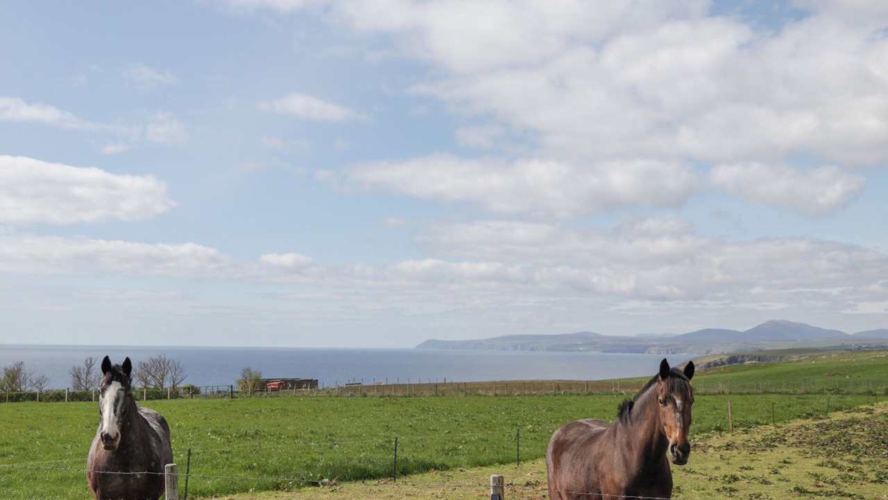 Photo of Others in Lybster