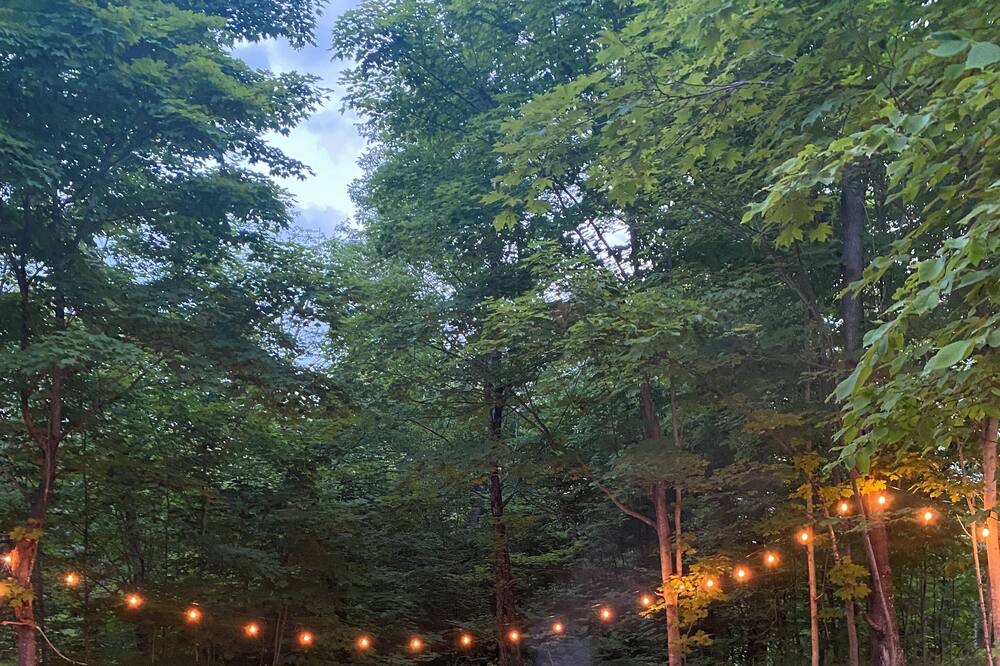 Photo of Outdoor in Central Frontenac