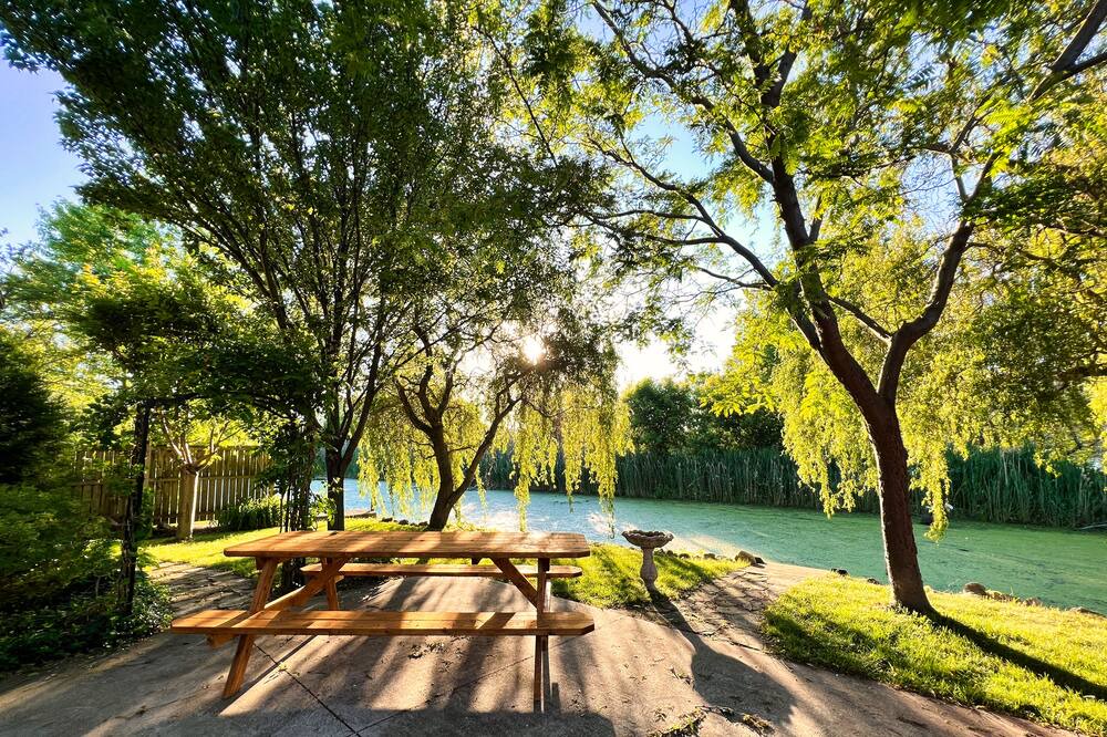 Photo of Outdoor in Kingsville