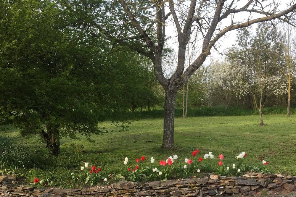 Photo of Others in Champtoce-sur-Loire