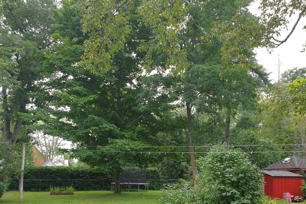 Photo of Outdoor in Coldwater