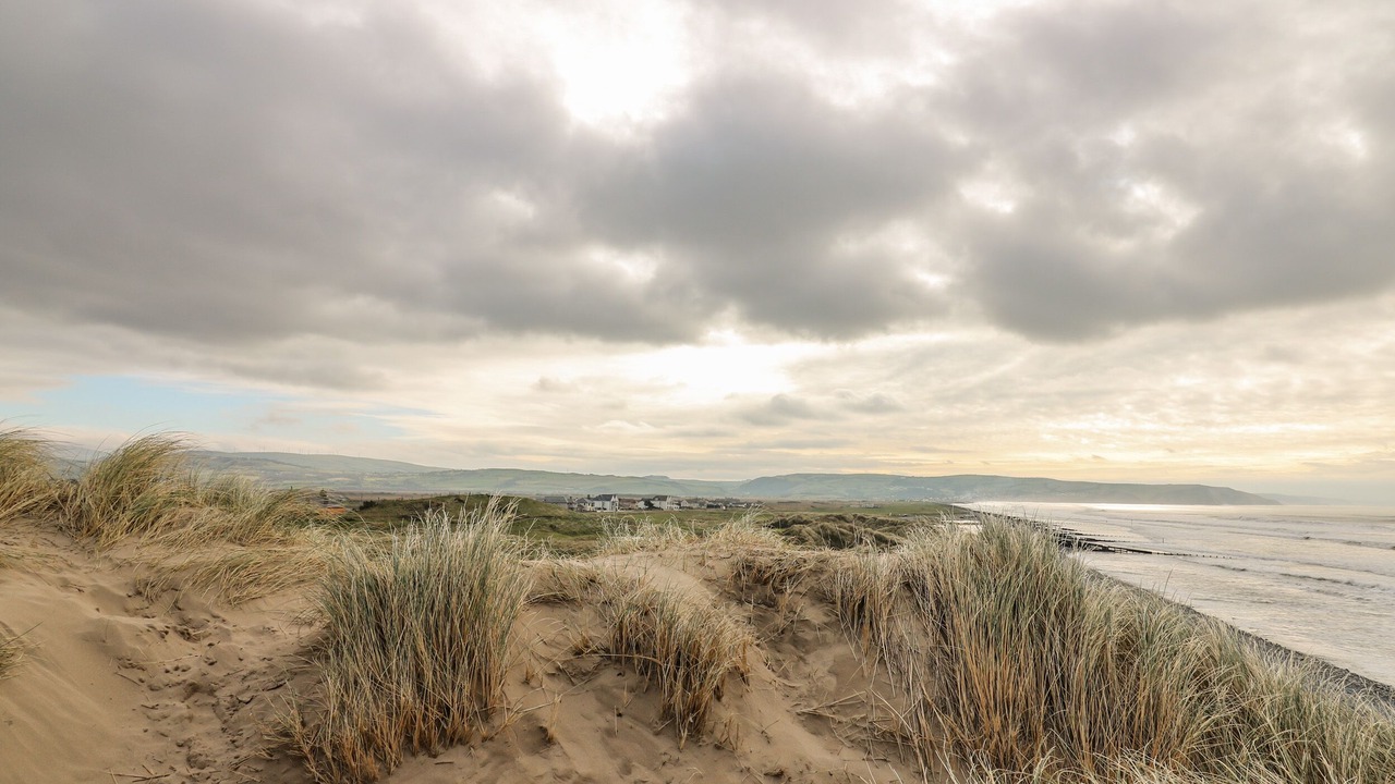 Photo of Others in Borth