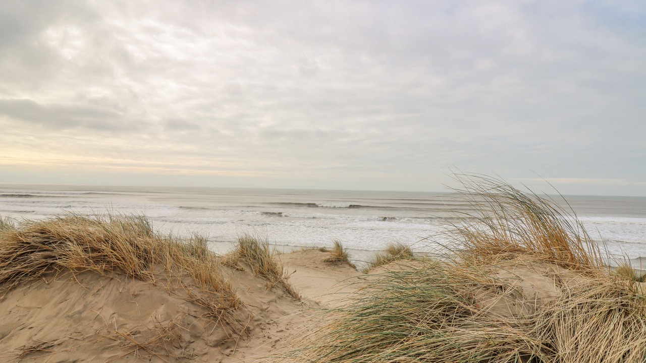Photo of Others in Borth