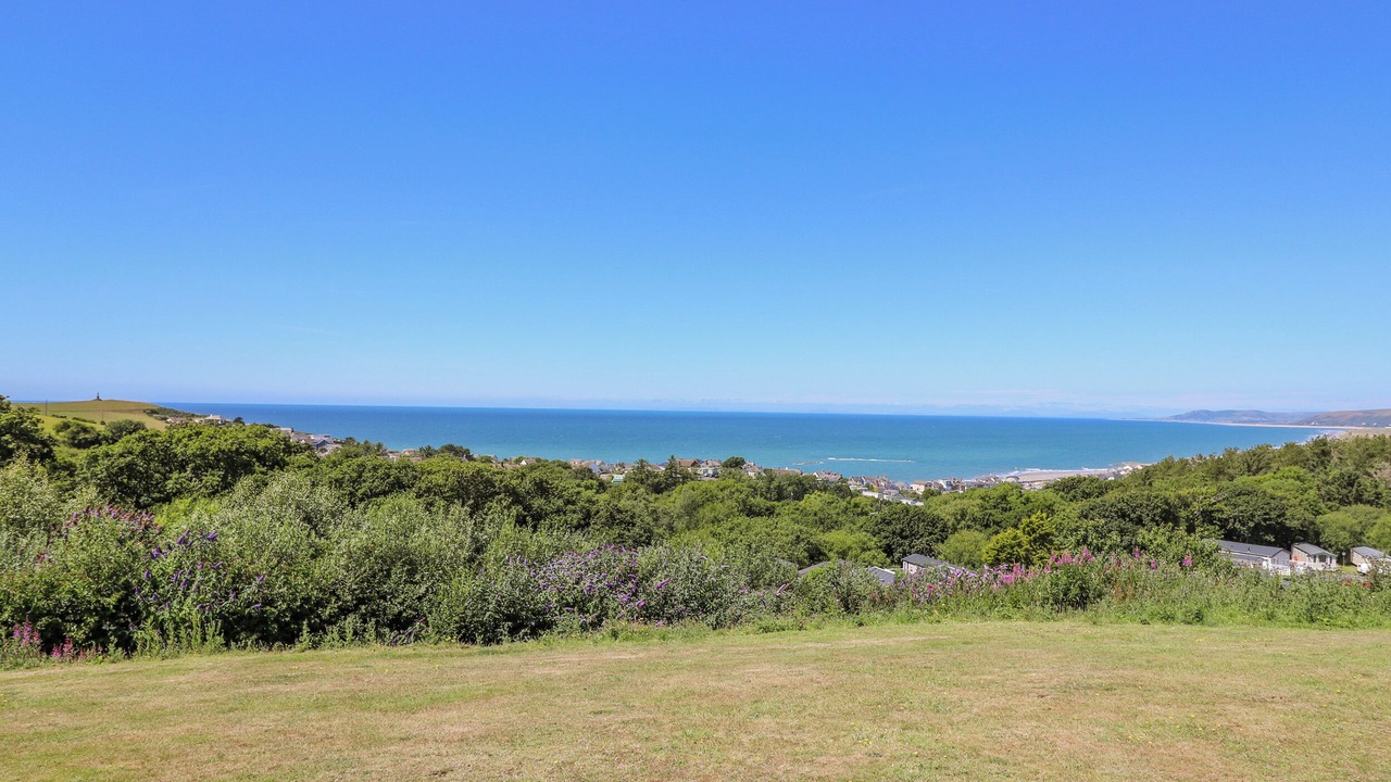 Photo of Others in Borth