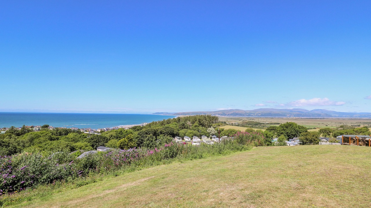Photo of Others in Borth