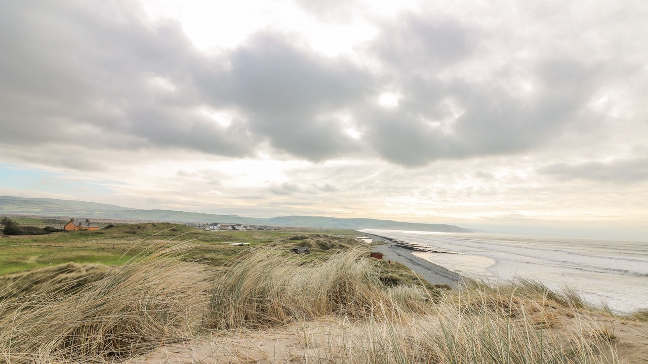 Photo of Others in Borth