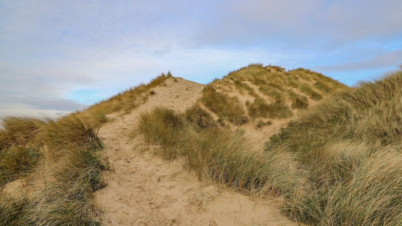 Photo of Others in Borth