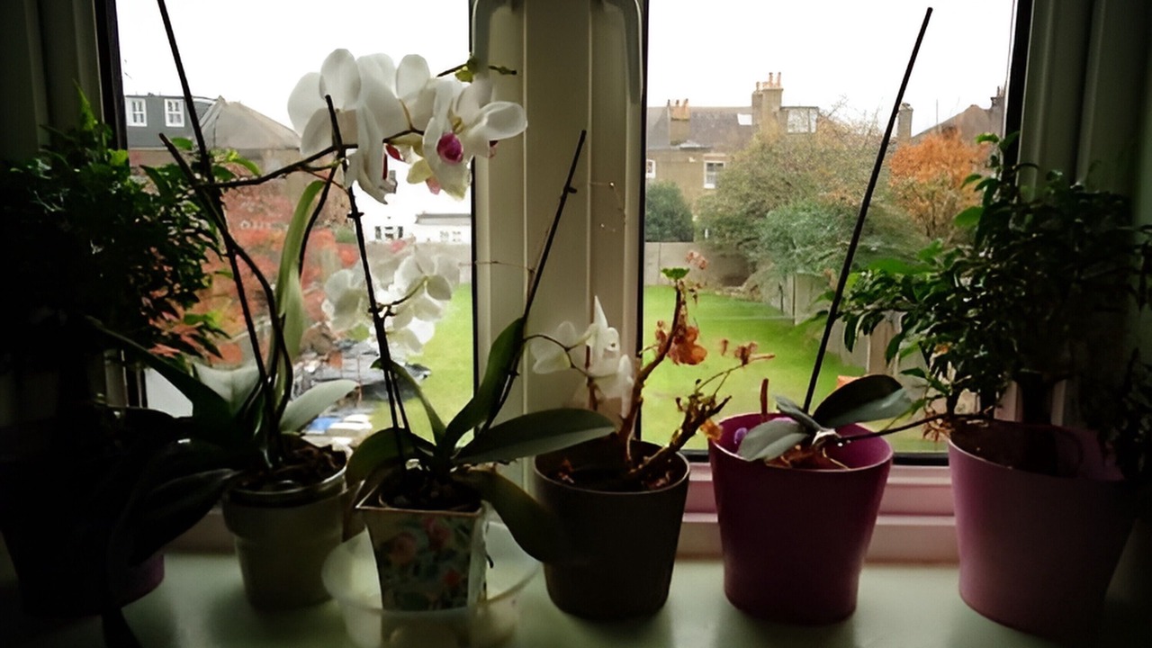 Photo of Bedroom in Ealing Common