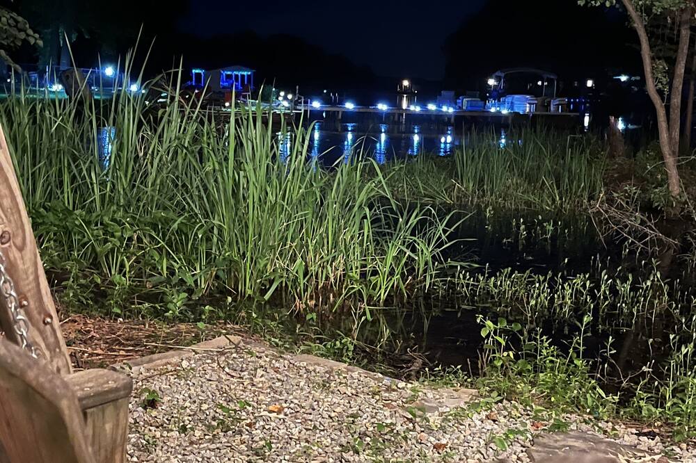 Photo of Outdoor in Lone Star