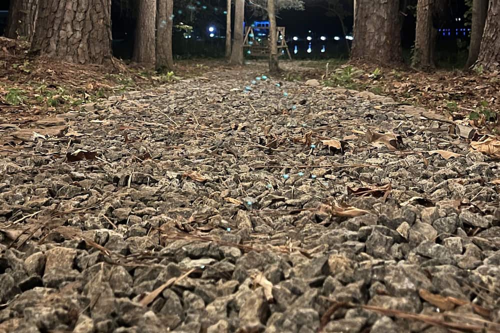 Photo of Outdoor in Lone Star