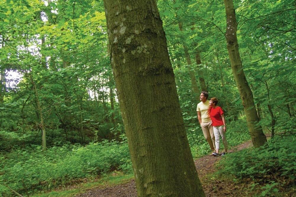 Photo of Others in Coldingham
