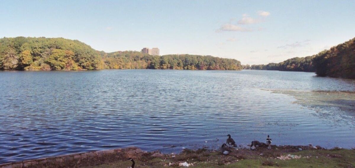 Photo of Outdoor in Weequahic