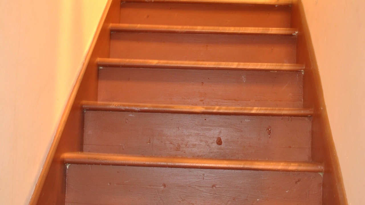 Photo of Others in Weequahic