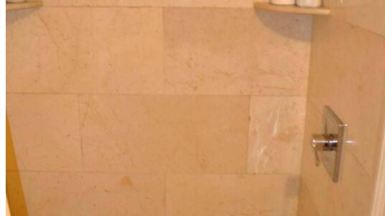 Photo of Others in Weequahic