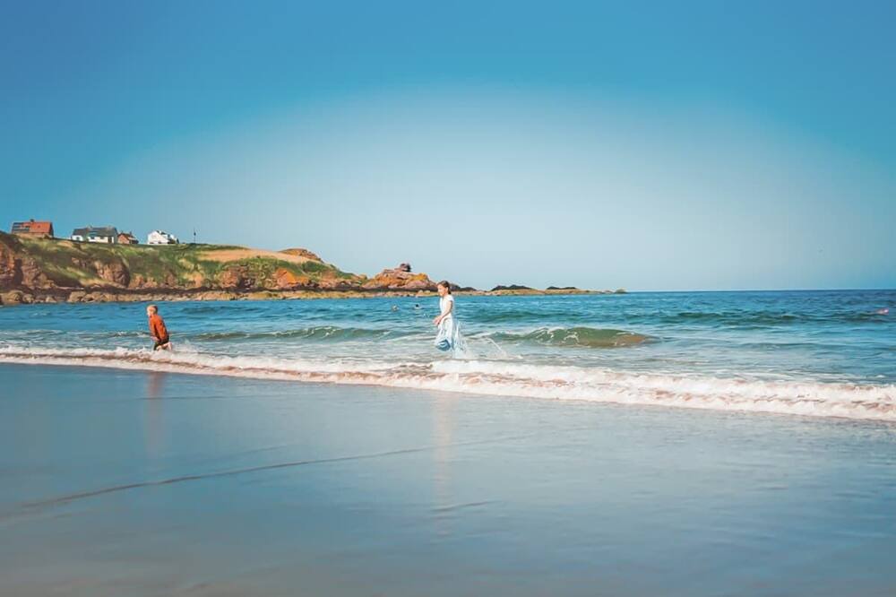 Photo of Others in Eyemouth