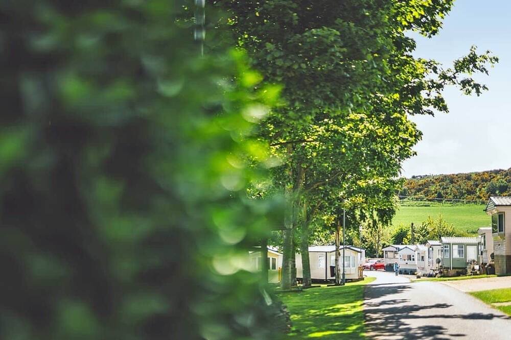 Photo of Others in Eyemouth