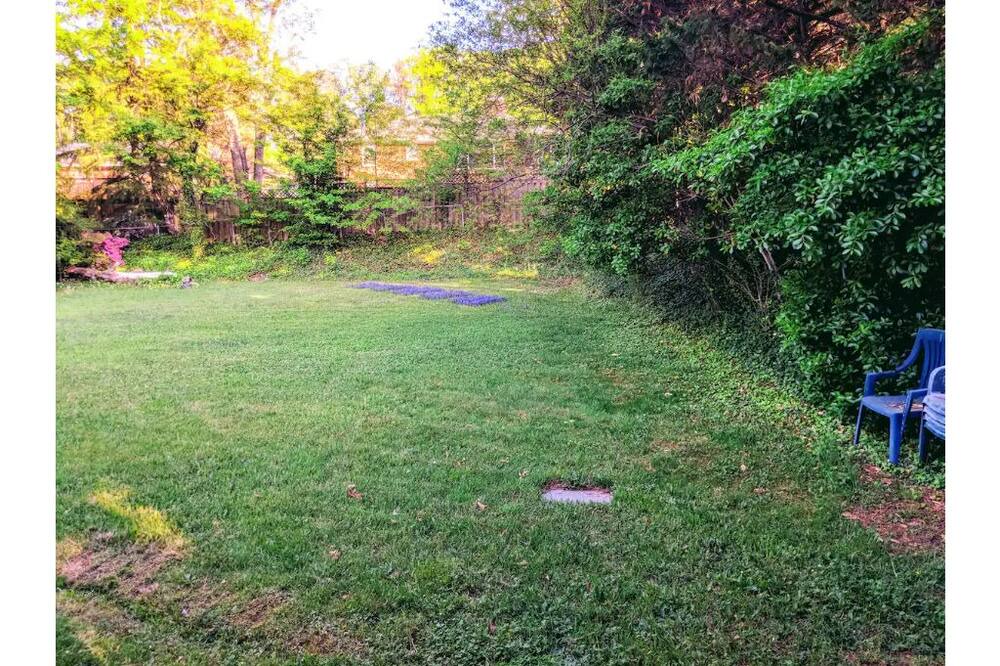Photo of Outdoor in Hillandale