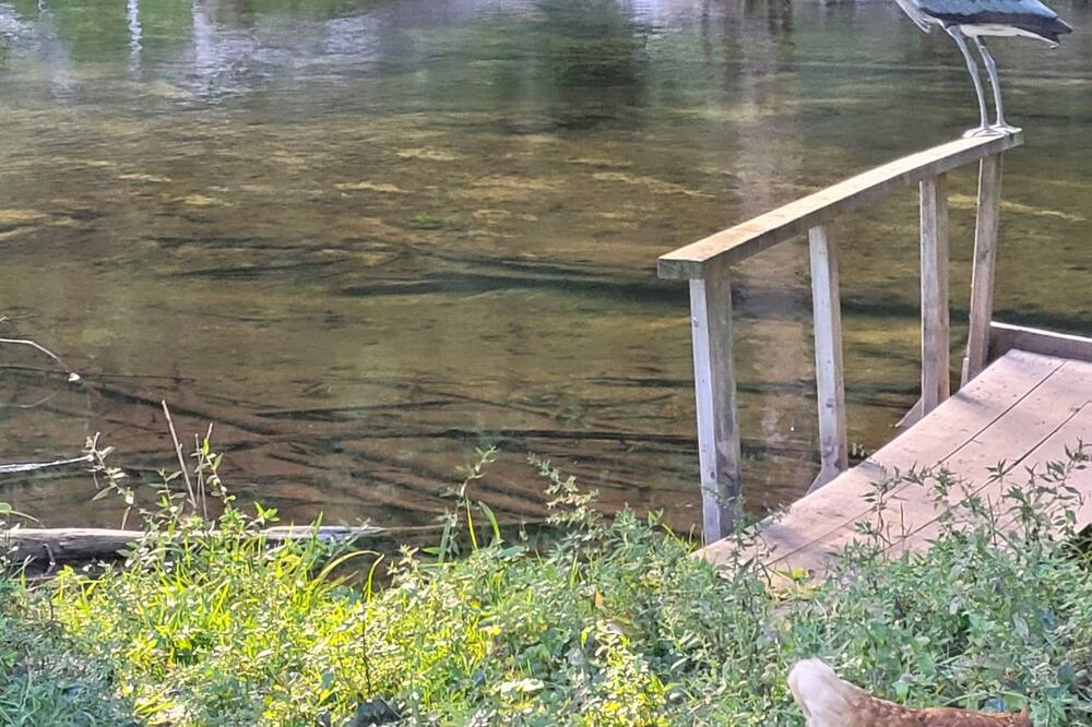 Photo of Outdoor in Markdale