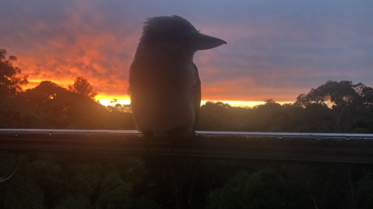 Photo of Others in North Turramurra