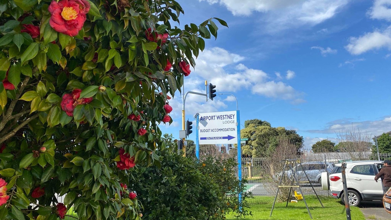 Photo of Outdoor in Mangere