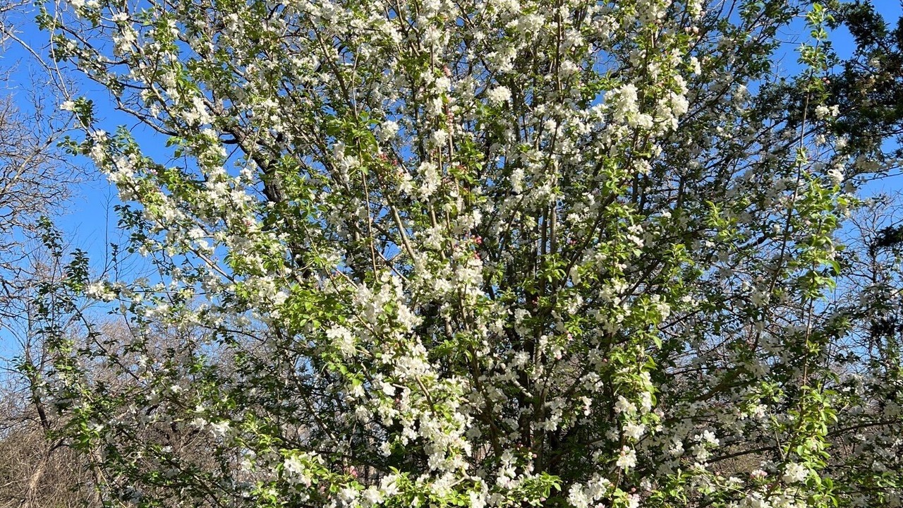 Photo of Outdoor in Noble