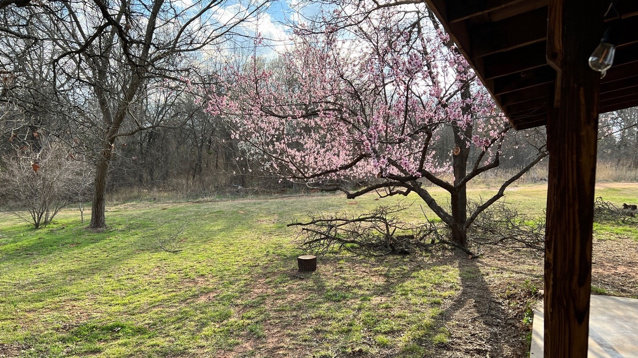 Photo of Outdoor in Noble