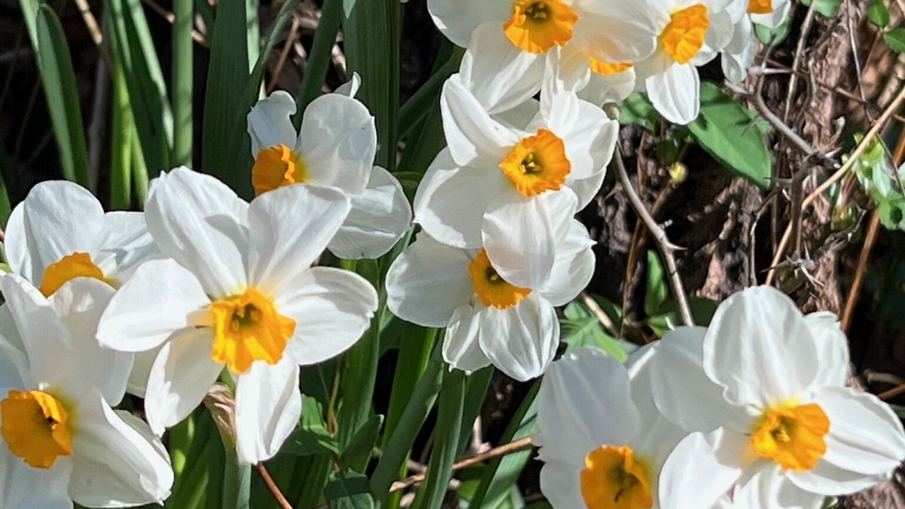 Photo of Outdoor in Noble