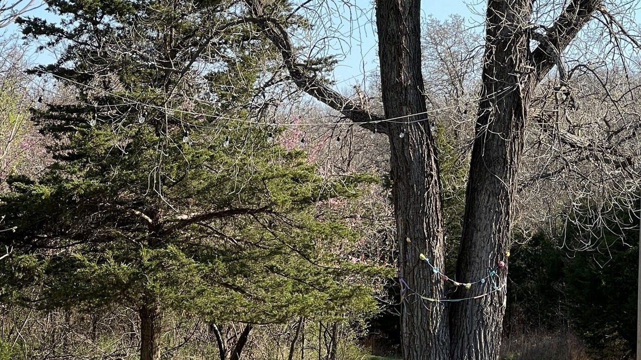 Photo of Outdoor in Noble